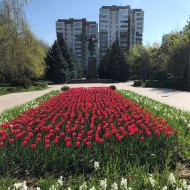 Springtime Almaty