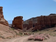 Charyn Canyon (5)