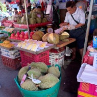 Durian (3)